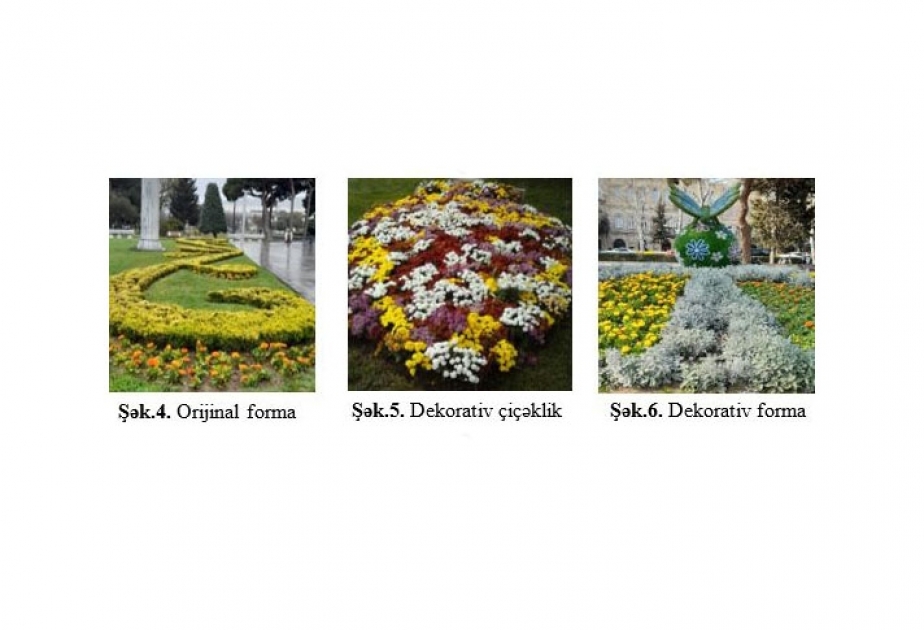 Abşeronun park-bağlarında kompozisiyaların tərtibatı ilə bağlı tədqiqat aparılıb