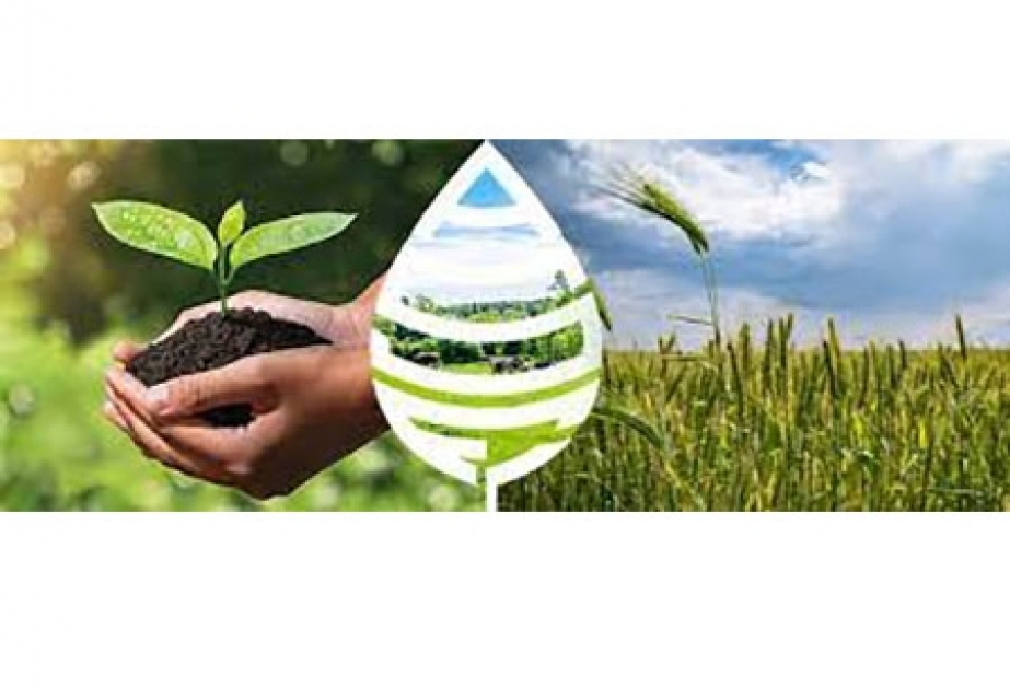 Aqrar Sığorta Fondu fermerlərə ödənişlərini açıqladı