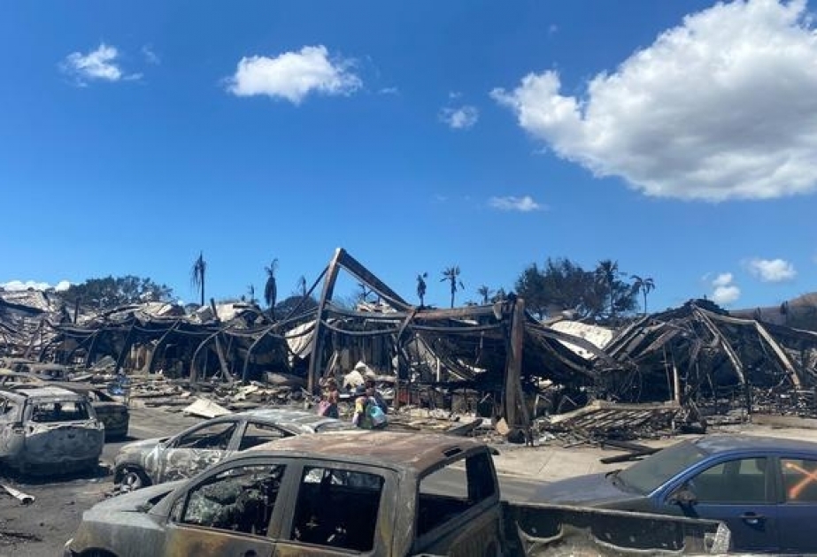 Etats-Unis : le bilan des feux de forêt à Hawaï passe à 106 morts