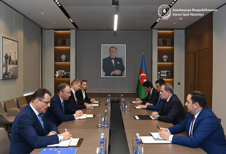 Azerbaijani FM informs EU Special Representative about increasing military and political provocations of Armenia in the region