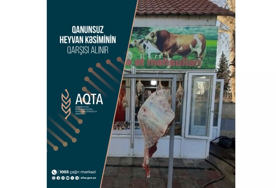 Doqquz heyvan kəsimi və ət satışı məntəqəsi ilə əlaqədar tədbir görülüb