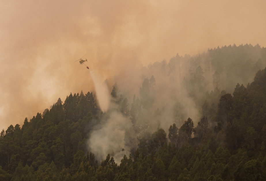 Espagne : le feu continue de se propager sur l'île de Tenerife