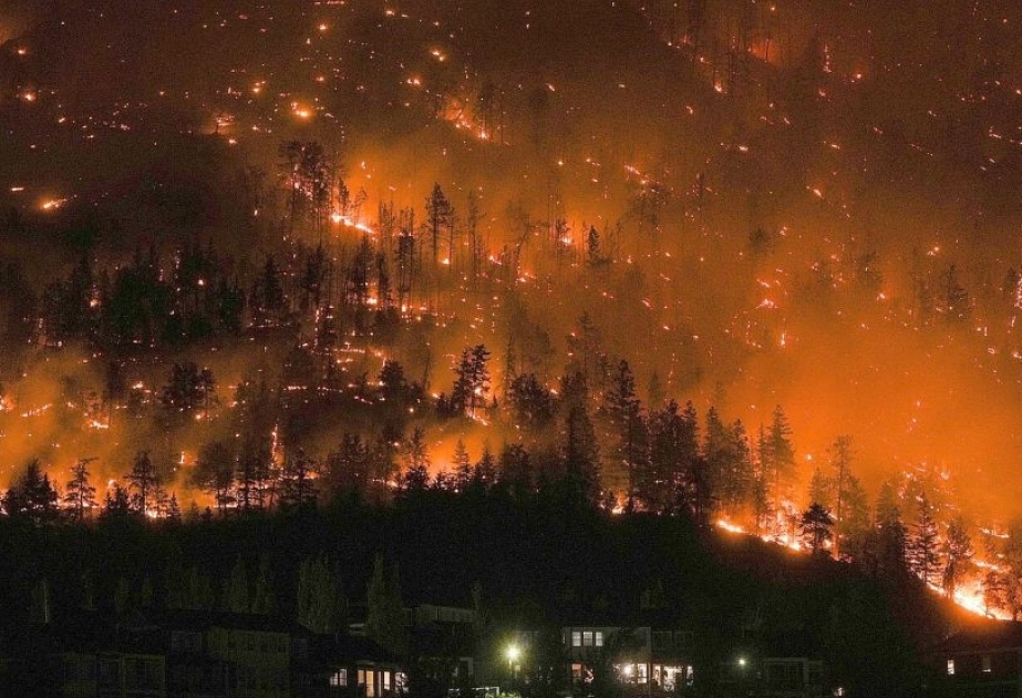 Waldbrände in Kanada: Notstand in Stadt Kelowna ausgerufen