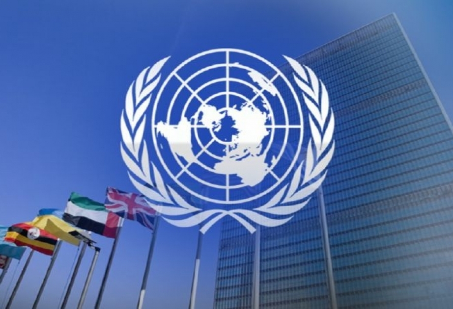 BMT rəsmisi Nigerdə danışıqlar aparacaq