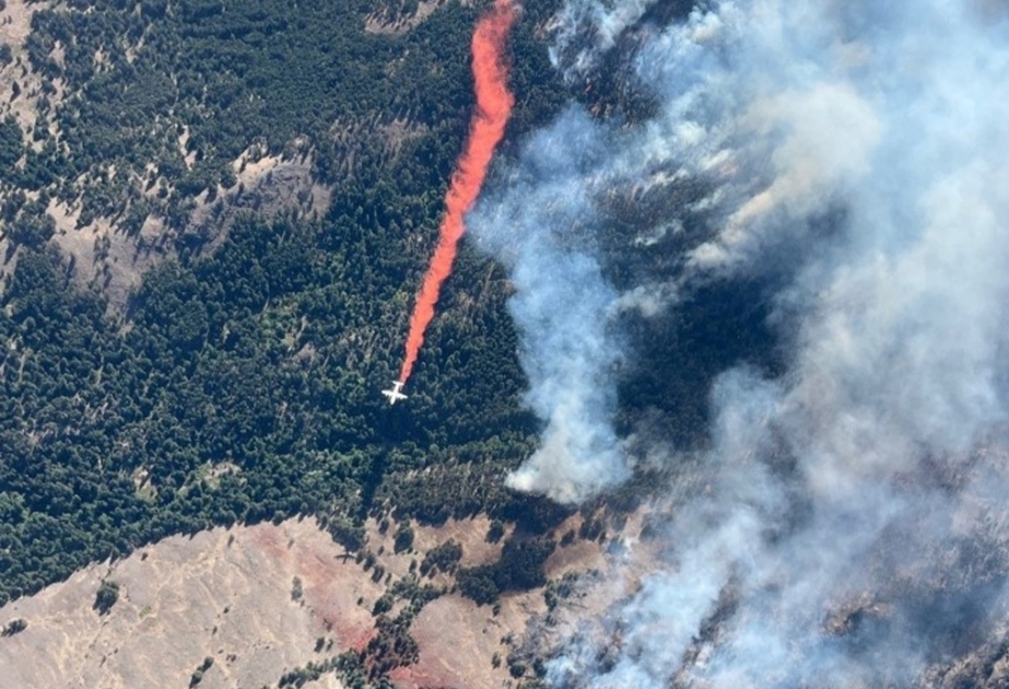 Canadian province of British Columbia declares state of emergency as wildfires rage