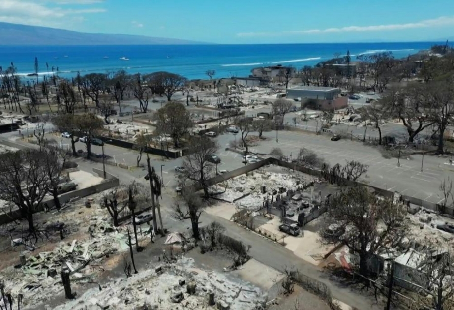 Maui adasında meşə yanğınlarının vurduğu zərər 6 milyard dollar dəyərində qiymətləndirilir