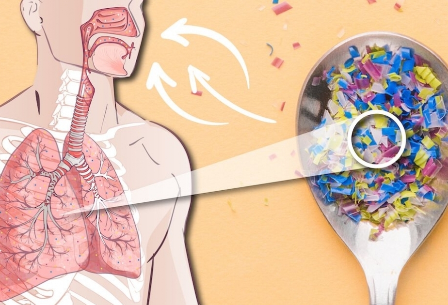 Breathing ın plastic – microplastics stick around in human airways
