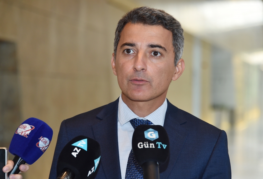 Fariz İsmayılzadə: Azərbaycan reallıqlarını dünyaya çatdırmağa çalışacağıq