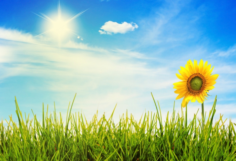 Ölkə ərazisində havanın temperaturu yüksələcək