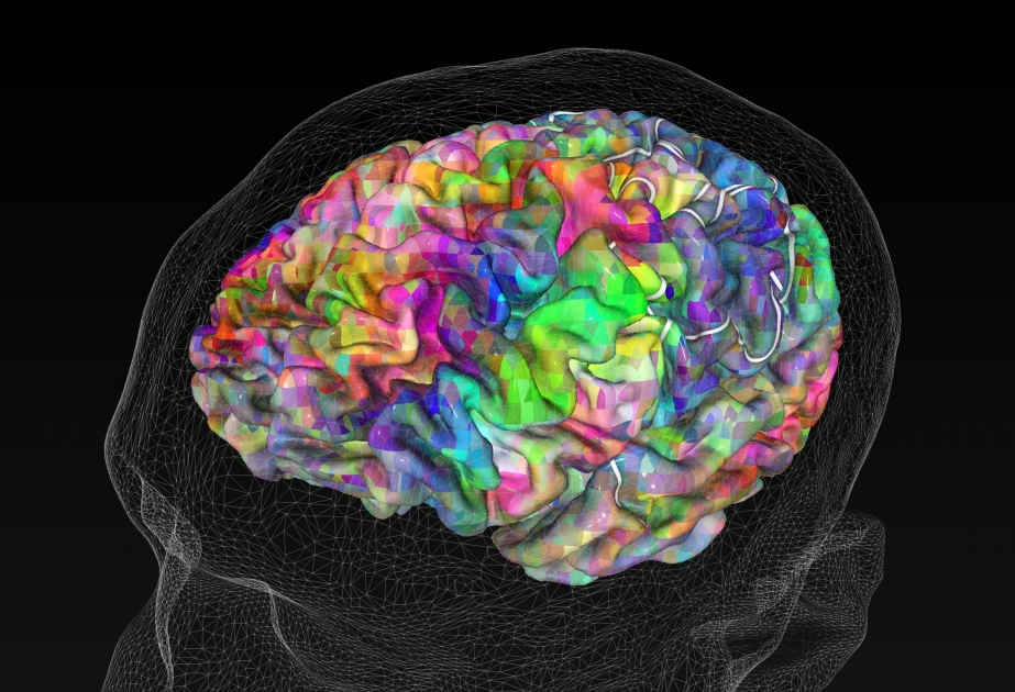 “Forgetting” might not be a bad thing – scientists propose that it could be a functional feature of the brain