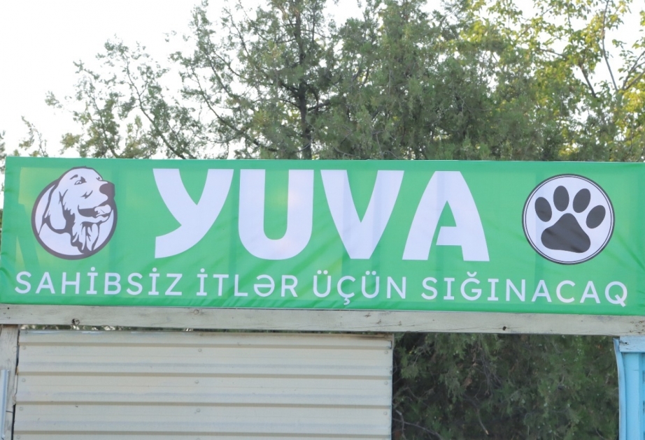 Gəncədə sahibsiz küçə heyvanları üçün sığınacaq istifadəyə verilib