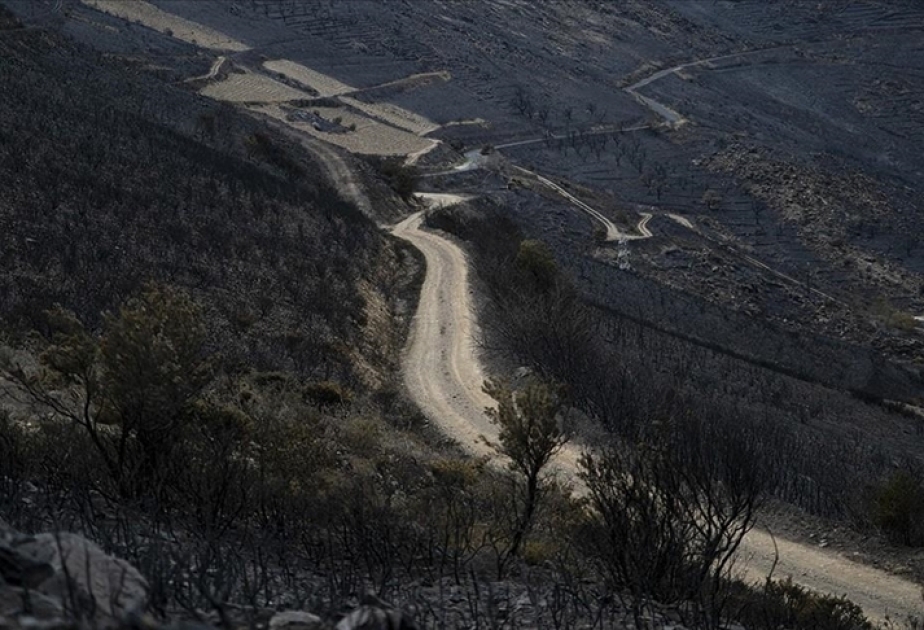 France : 35 hectares touchés par un incendie dans les Hautes-Alpes