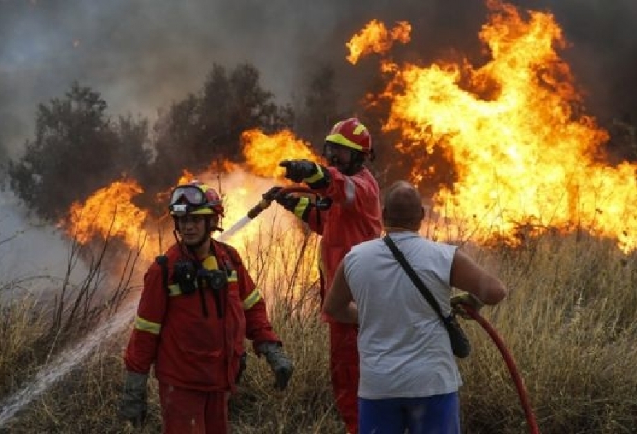 Yunanıstanda meşə yanğınları törətməkdə şübhəli bilinən dörd nəfər saxlanılıb