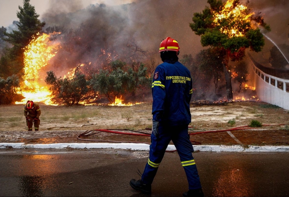 Zwei weitere Tote bei Waldbränden in Griechenland