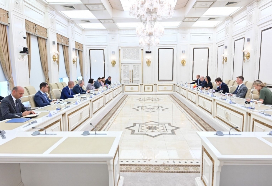 Сахиба Гафарова: Визит бельгийских депутатов только в Армению нарушает баланс в отношении стран региона