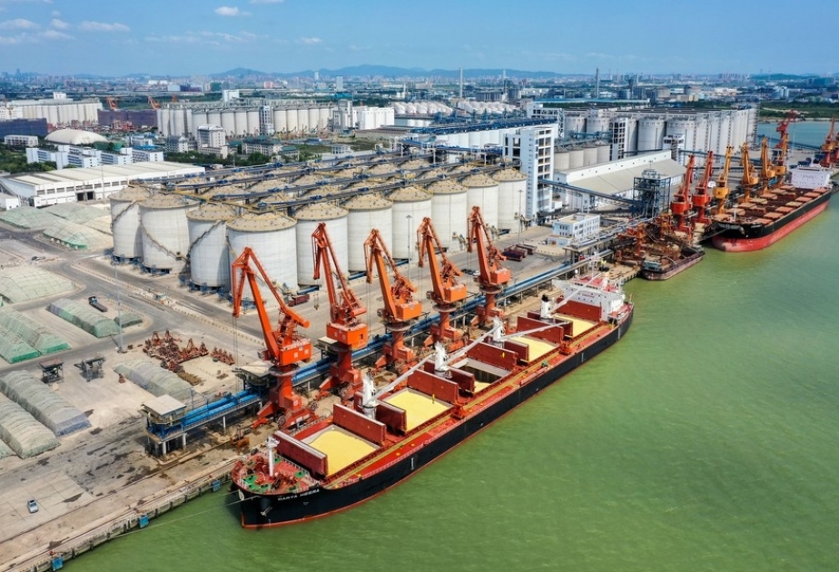 BRICS ties give impetus for growth