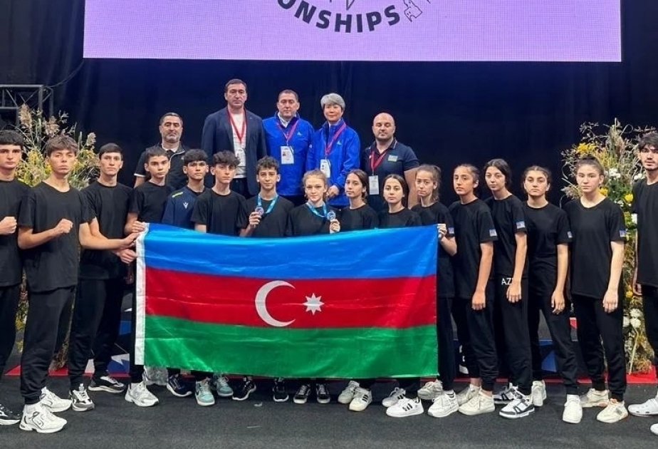 Сборная Азербайджана по таэквондо завершила участие в чемпионате Европы с двумя медалями