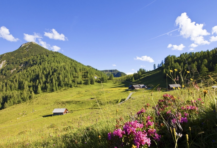 Avstriya yay turizmində yeni rekord əldə edilə bilər