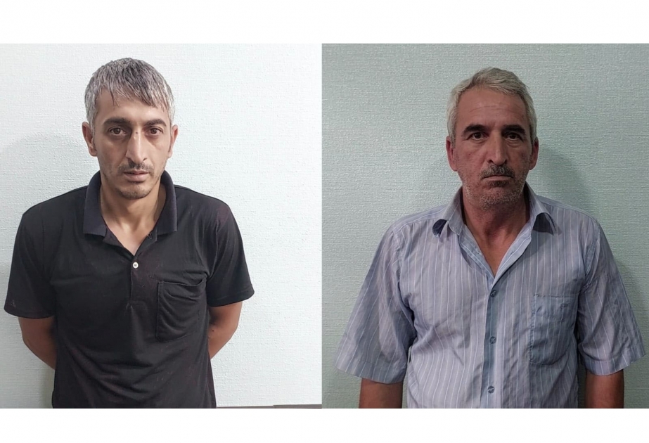 Lerikdə ödəmə terminalından oğurluq edən qardaşlar saxlanılıb