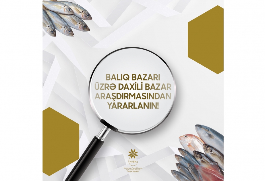 Balıq bazarı ilə bağlı araşdırma aparılıb