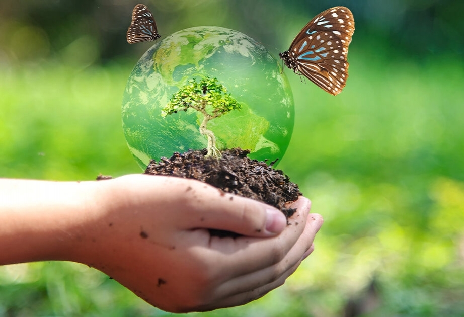 La FAO : Un nouveau Fonds mondial donne un coup de pouce pour la sauvegarde de la biodiversité