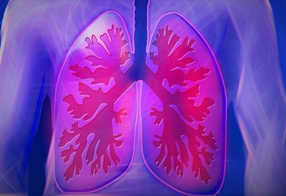 Eleven people die from Legionnaires’ disease outbreak in Polish town of Rzeszow