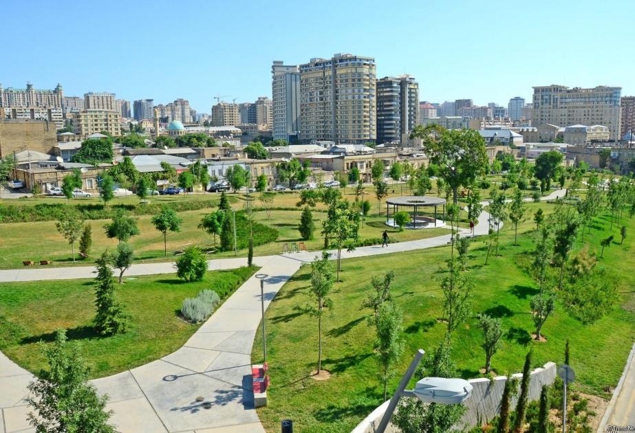 Müasir şəhərlərdə parklar necə olmalıdır?