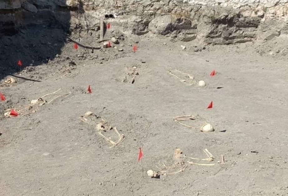 العثور على نحو 500 رفات بشرية من المقابر الجماعية المكتشفة في المناطق المحررة – تقرير