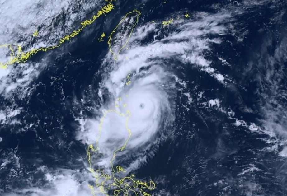 Typhoon Saola makes landfall in south China's Guangdong