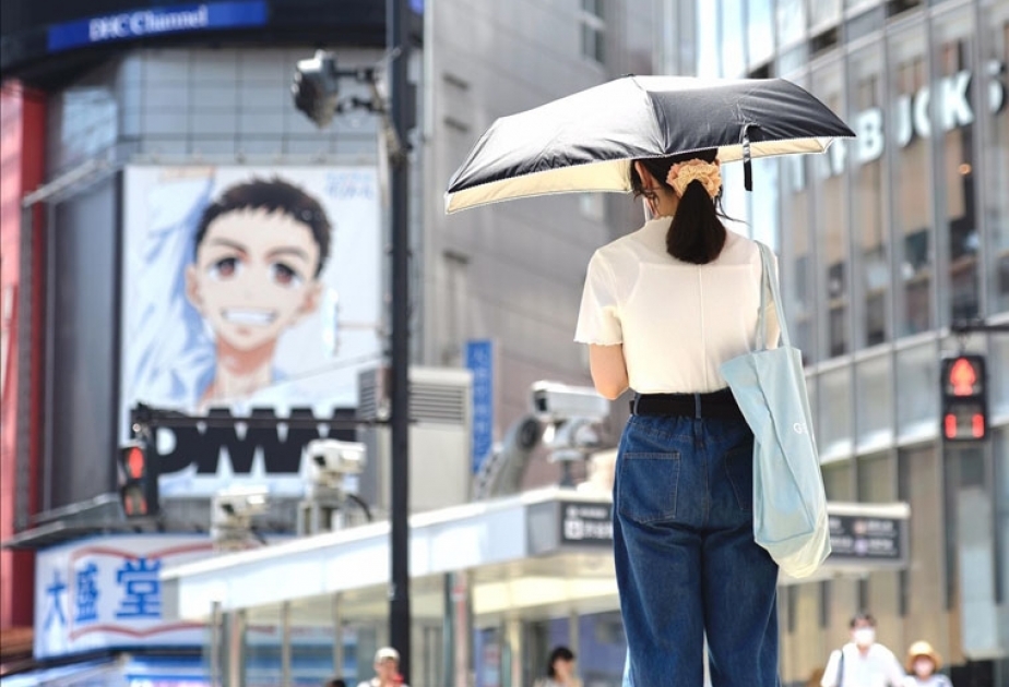 Le Japon a connu cette année l'été le plus chaud des 125 dernières années