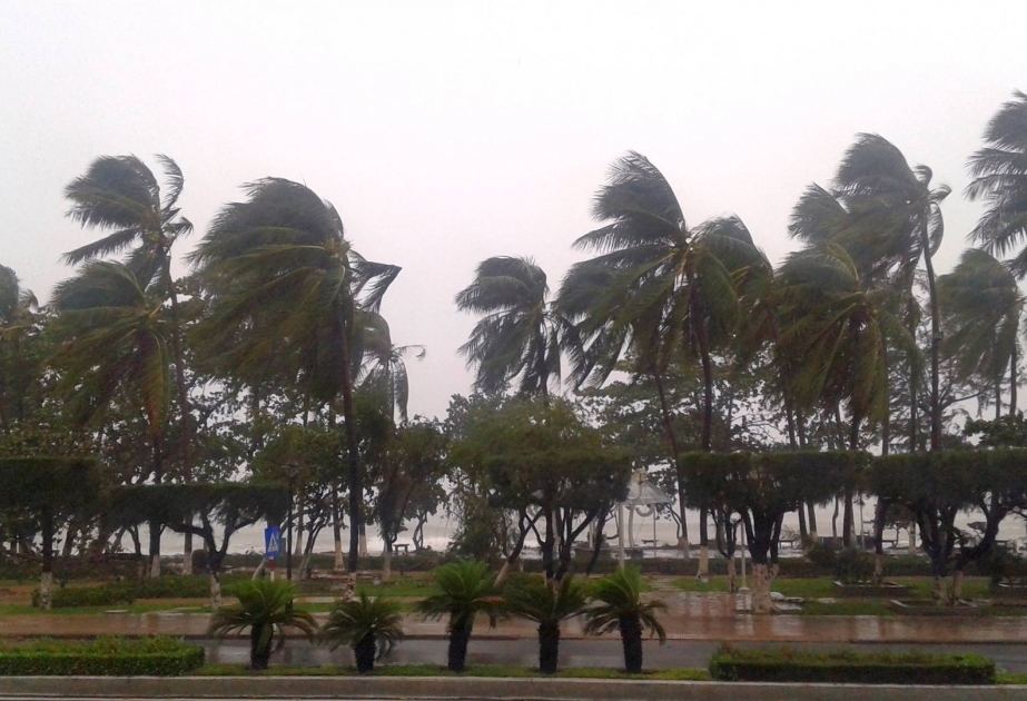 Thousands evacuated as Taiwan braces for Typhoon Haikui