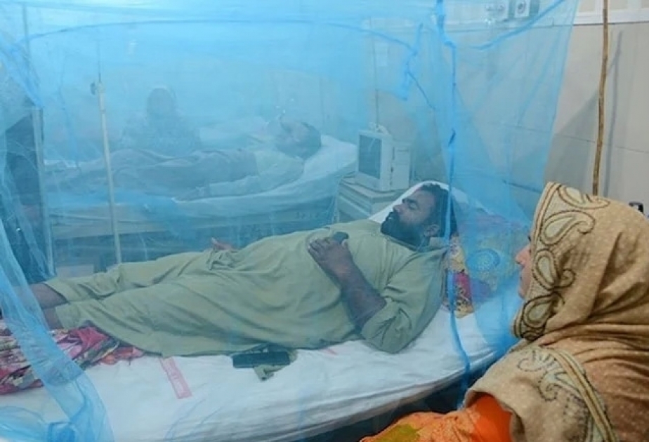 Over 600 dengue deaths recorded in Bangladesh