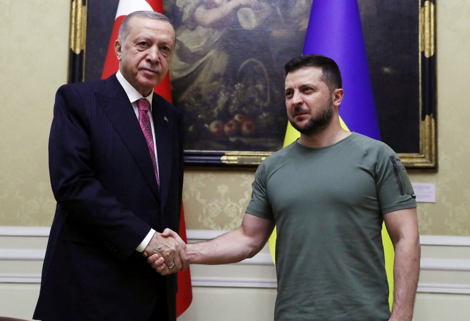Ukrayna və Türkiyə prezidentləri arasında növbəti dəfə danışıqlar aparılacaq