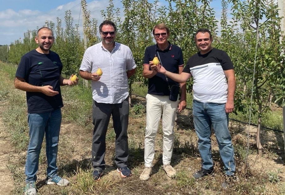 İtaliyanın “MacFrut” sərgisinin prezidenti ADA Universitetində kənd təsərrüfatı nümayəndələri ilə görüşüb
