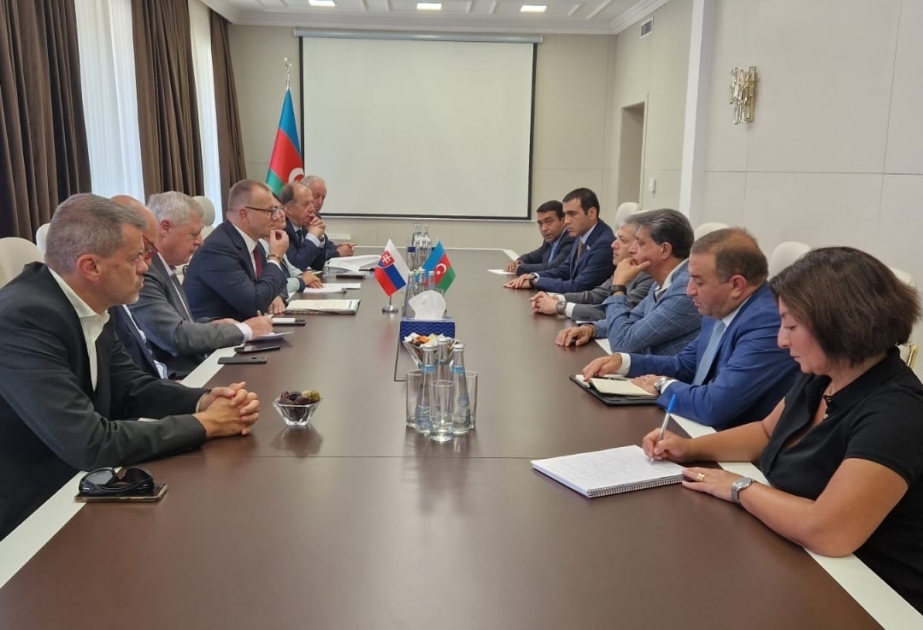 Shusha hosts discussions on relations between Azerbaijani, Slovak cities
