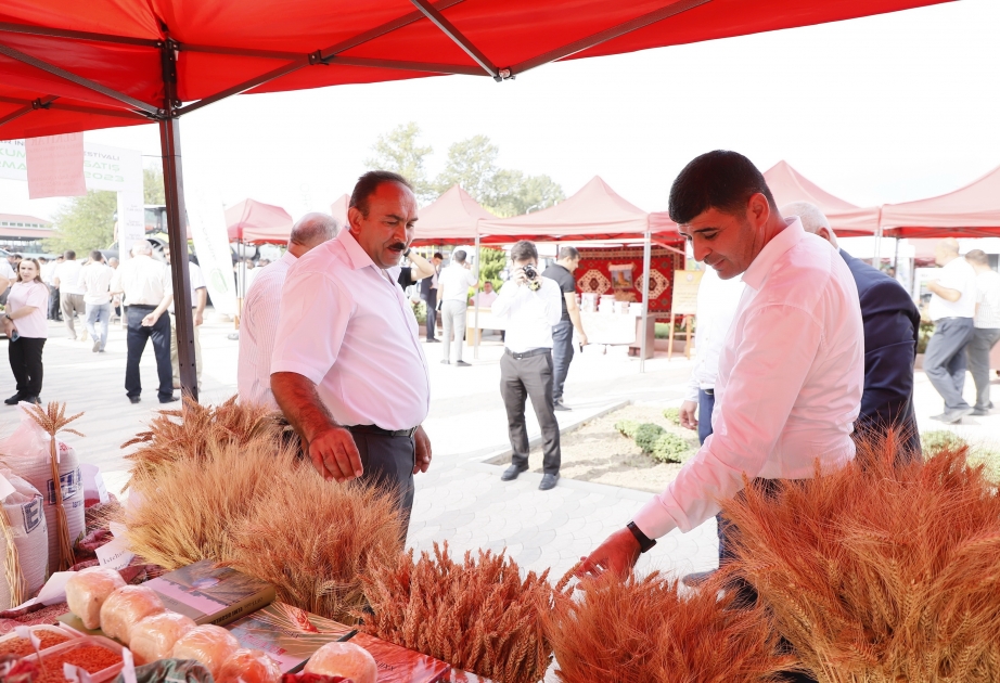 Ağcabədi rayonunda Aqrar İnnovasiya Festivalı təşkil olunub