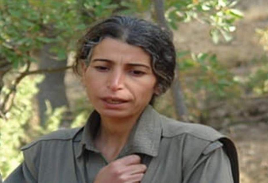 Türkiye: Le MIT neutralise Zülfiye Binbir, qui gérait le trafic d'argent du PKK/YPG