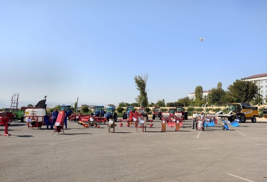 المهرجان الزراعي في نخجوان