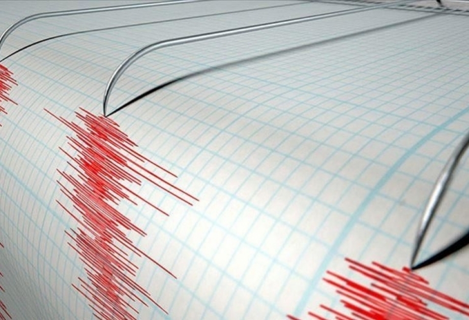 6.6 magnitude earthquake shakes New Zealand
