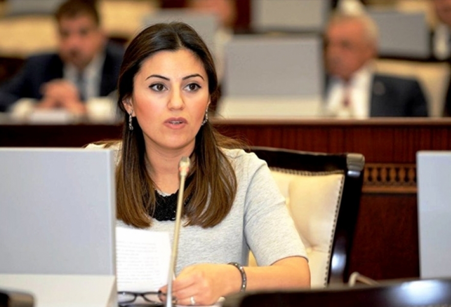 Deputat: Cənubi Qafqazda sülhün təmini prosesi qlobal miqyasda diqqət mərkəzindədir