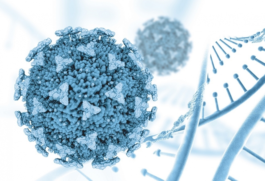 Alimlər: Koronavirus immunitetin mədəaltı vəzinə hücumlarına səbəb olur