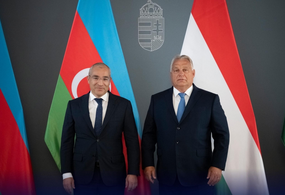 Министр экономики Азербайджана обсудил с премьер-министром и главой МИД Венгрии развитие двусторонних отношений