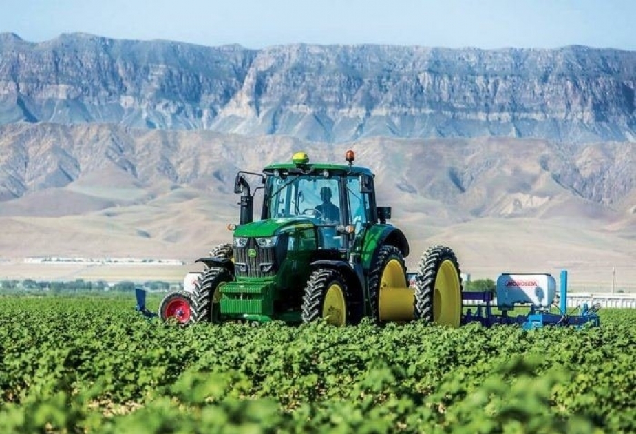Yardımlıda bitkiçilik sahəsi üzrə məhsul toplanışı yekunlaşmaq üzrədir