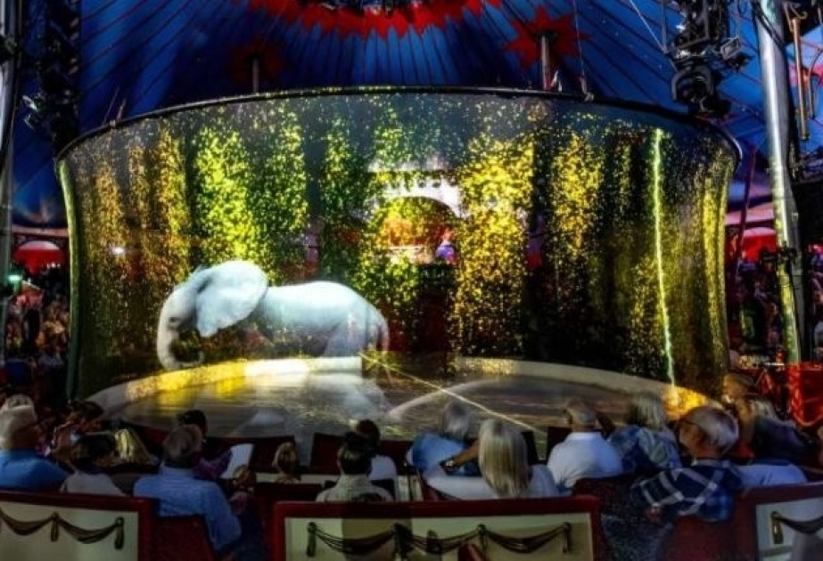 Голографические животные на арене немецкого цирка