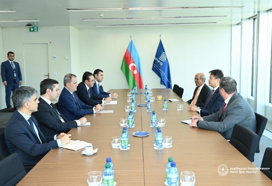 Azerbaijani FM, WIPO Director General discuss education and training programs