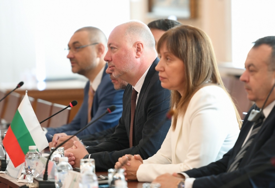 Rosen Jelyazkov: Azərbaycanın Qarabağ bölgəsində yaradılmış qondarma rejimin “prezident seçkiləri”ndən narahatıq