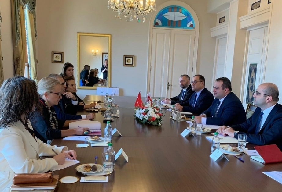 Turkish, Georgian officials discuss situation in the region
