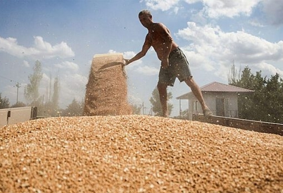 Bulgarian parliament allows Ukrainian grain imports after Sept 15