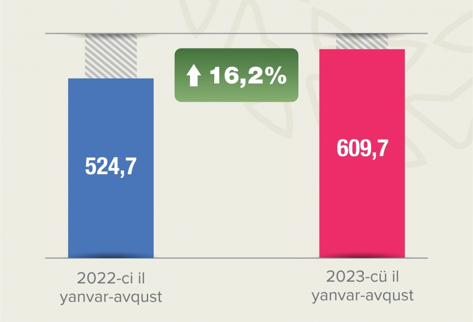 Sosial sığorta haqları üzrə daxilolmalar artıb