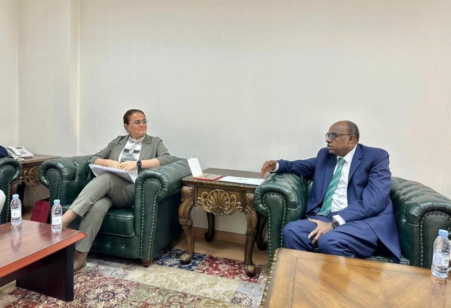Azerbaijan, OIC discuss prospects for cooperation
